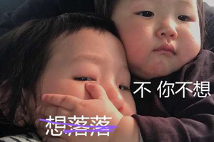 不你不想表情怎么制作 不你不想图生成方法