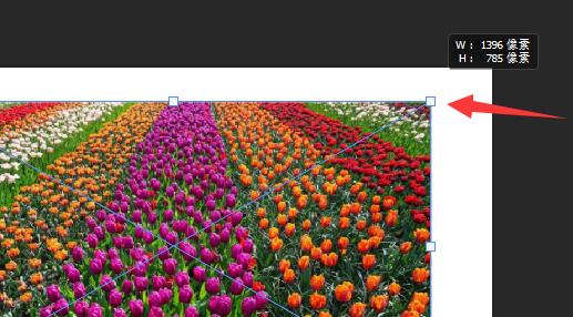 ps放大缩小图片教程