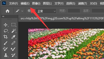ps放大缩小图片教程