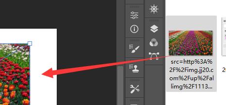 ps放大缩小图片教程
