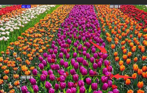 ps切片工具切图教程