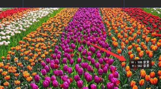 ps切片工具切图教程