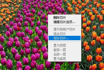 ps切片工具切图教程
