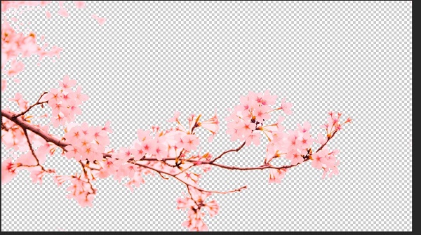 photoshop背景颜色改变教程