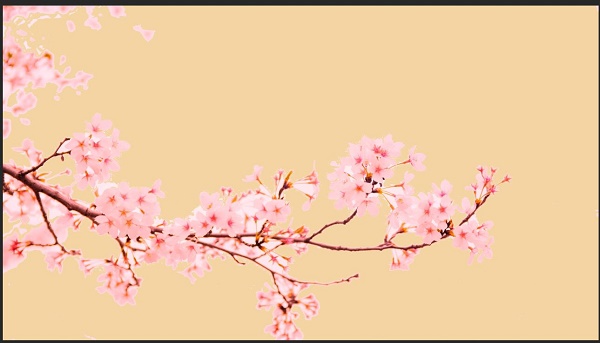 photoshop背景颜色改变教程