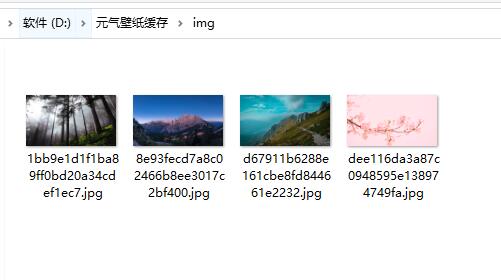 元气壁纸会员过期壁纸是否还在详情