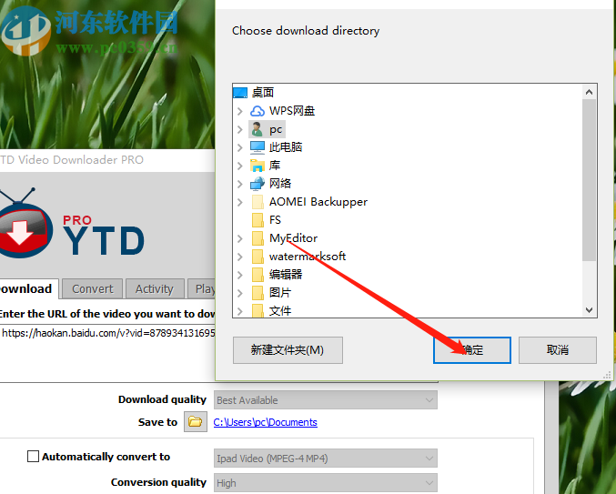 YTD Video Downloader下载网页视频的方法