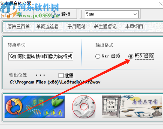 文本语音转换器将文字转换成语音的方法