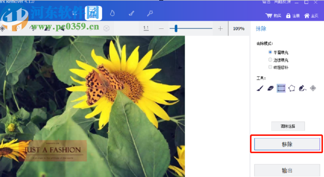 ThunderSoft Watermark Remover去除图片水印的方法