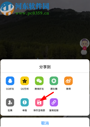 蘑菇视频APP下载保存视频的方法