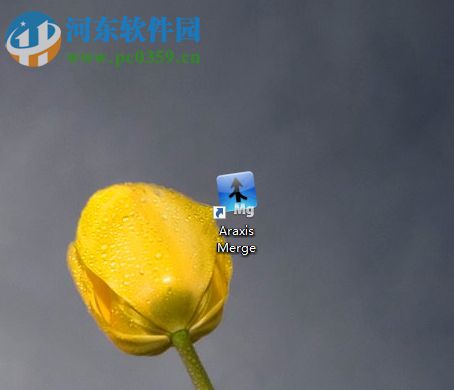 Araxis Merge 2018对比图片文件的方法