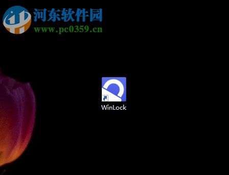 WinLock隐藏资源管理器菜单的方法