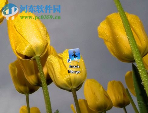 Araxis Merge 2018对比文件、文件夹的方法