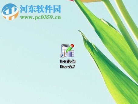 TotalEdit的使用说明