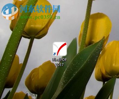 SoftMaker FlexiPDF 2017给pdf文件添加水印的教程