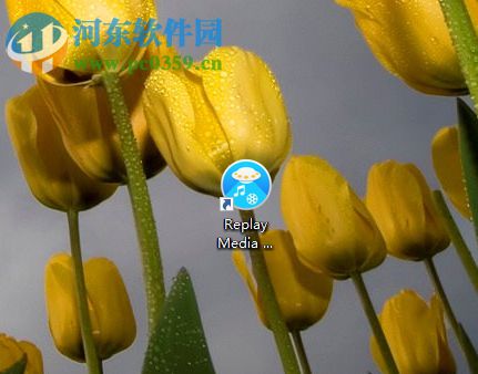 使用Replay Media Catcher 7下载网页视频的方法