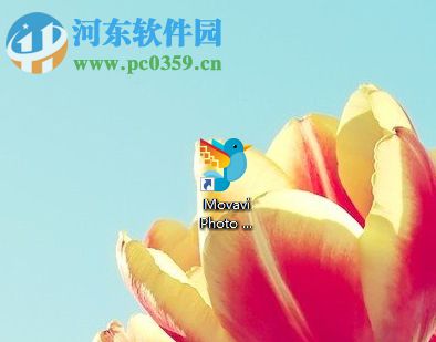 Movavi Photo DeNoise给图片降噪的方法