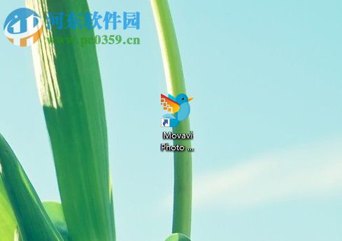 Movavi Photo DeNoise修改图片大小的方法