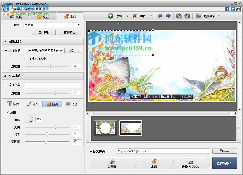 AVS Image Converter给图片添加水印的方法