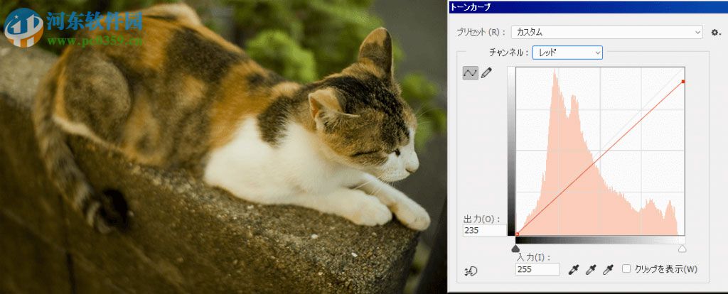 ps调偏色的教程