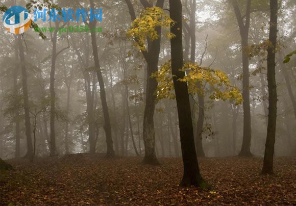 Ps给树林图片加上高清投射光束的教程