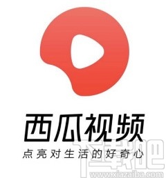 西瓜视频APP循环播放视频的方法