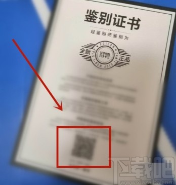 得物APP扫鉴别证书的操作方法