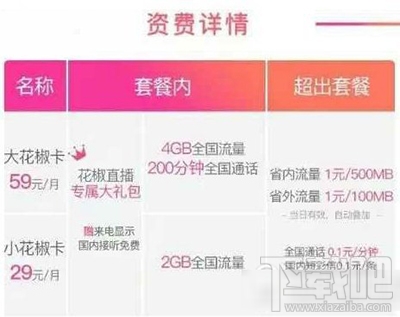 联通大花椒卡和小花椒卡哪个好用