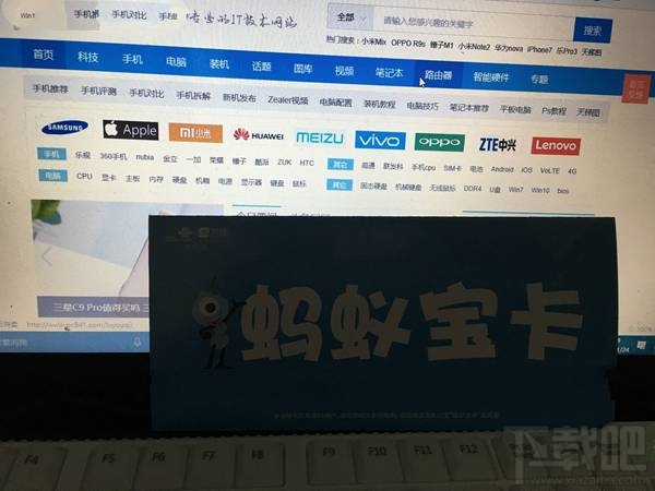 蚂蚁大宝卡与小宝卡哪个划算？蚂蚁大宝卡与蚂蚁小宝卡区别对比