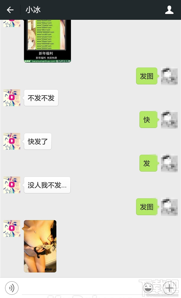 微软小冰微信公众号是什么 微软小冰微信公众号名字/二维码