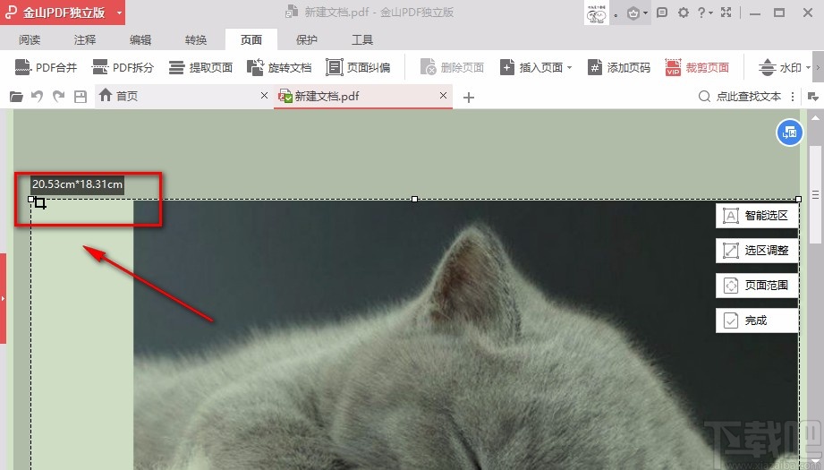 金山PDF阅读器裁剪PDF页面的方法