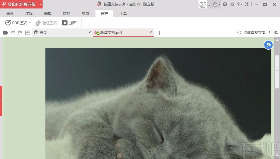 金山PDF阅读器设置护眼模式的方法