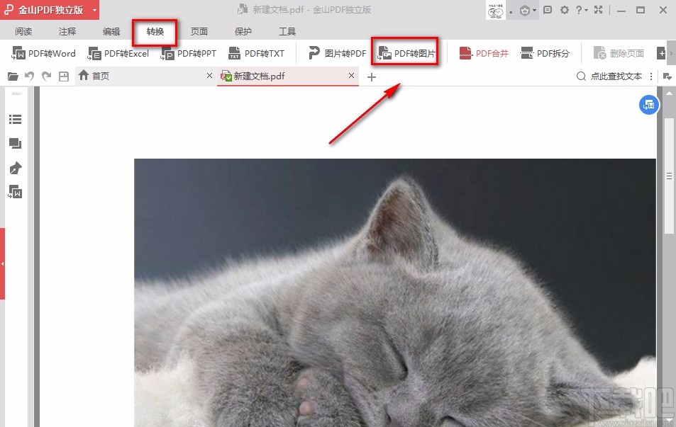金山PDF阅读器将PDF文件转为JPG图片的方法