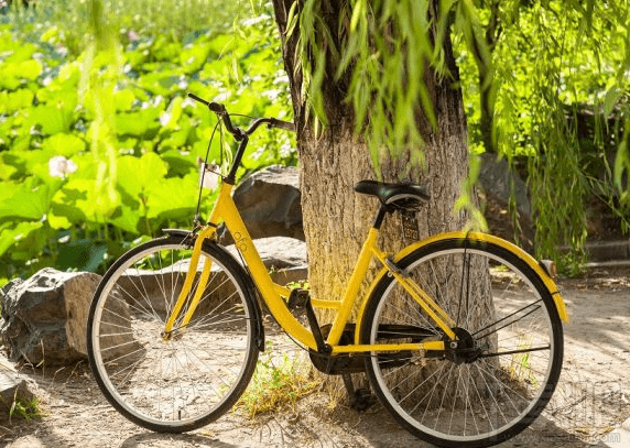 摩拜和ofo哪个好？摩拜单车和ofo小黄车区别对比