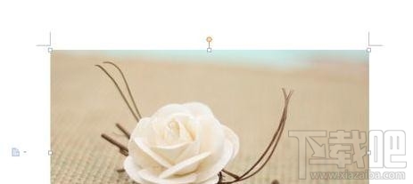 wps2016插入图片大小怎样调整