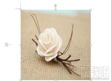 wps2016插入图片大小怎样调整