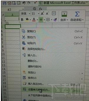 excel中如何输入01？excel中输入01的方法
