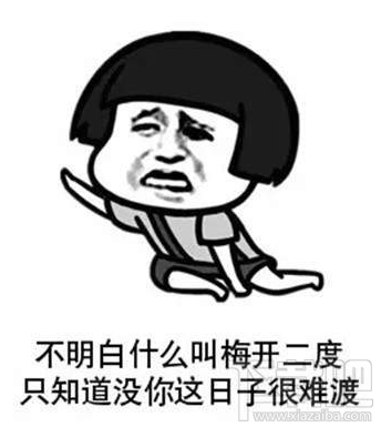 抖音世界杯足球表情包一览