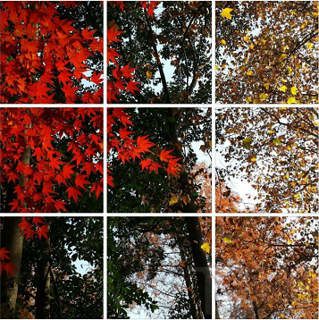 美图秀秀怎么做原图九宫格?