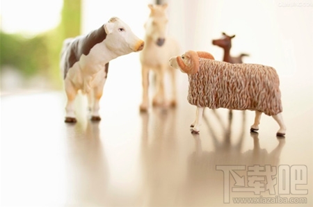 定格动画是什么？