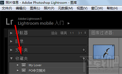 lightroom收藏夹集和收藏夹怎么创建？