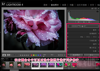 Lightroom批量处理怎么操作