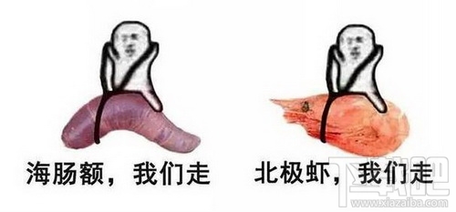 皮皮虾我们走出自哪里？皮皮虾我们走表情包下载地址