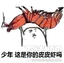 皮皮虾我们走出自哪里？皮皮虾我们走表情包下载地址