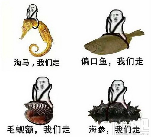 皮皮虾我们走出自哪里？皮皮虾我们走表情包下载地址