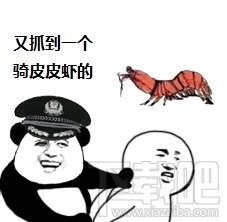 皮皮虾我们走出自哪里？皮皮虾我们走表情包下载地址