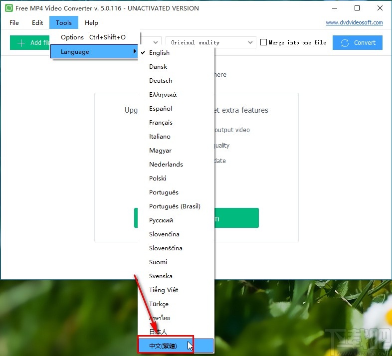 Free MP4 Video Converter设置中文的方法