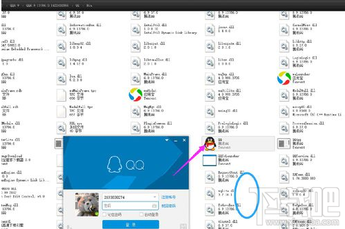 NtrQQ怎么进行安装的？NtrQQ安装方法教程