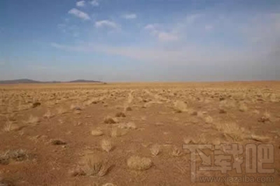 支付宝蚂蚁森林树种在哪？