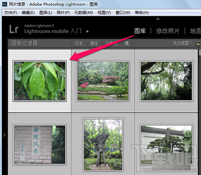 lightroom怎么使用视图模式？